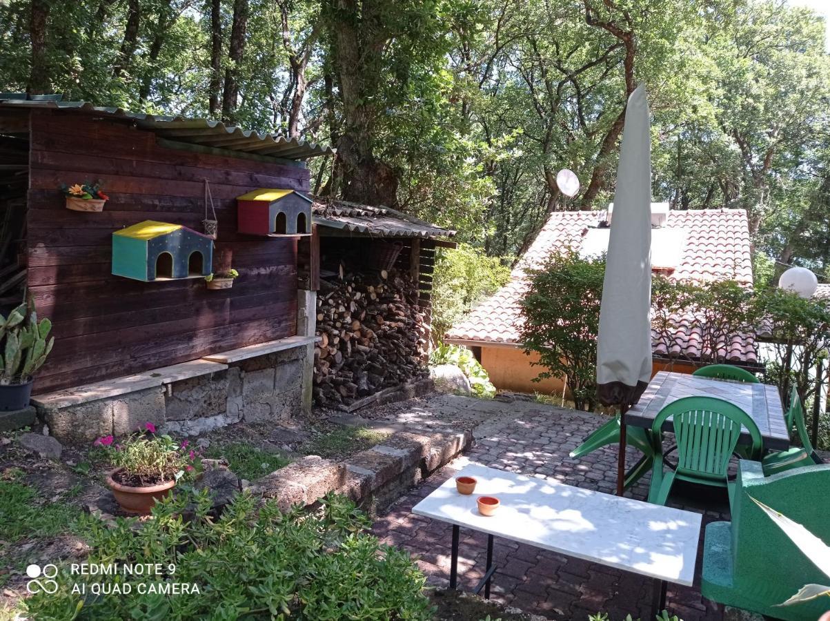 La Casa Dei Daini Holiday home Ronciglione (Viterbo)