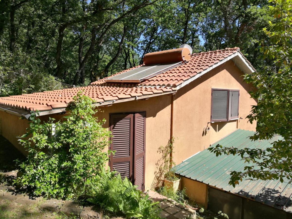 La Casa Dei Daini